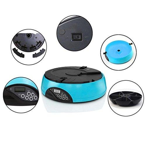Philippines Qiuji Pet Feeder Smart Healthy Pet Simply Feed