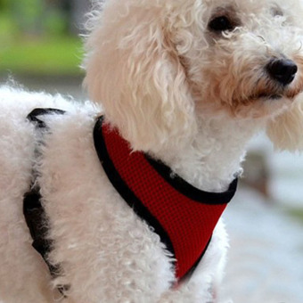 Soft Mesh Dog Harness Pet Puppy Cat Clothing Vest Red S June 2018 - 3 Soft Mesh Dog Harness Pet Puppy Cat Clothing Vest Red S - 3