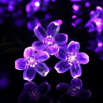 Solar Fairy String Lights 50 LEDS 7M Purple Blossom DecorativeGardens, Lawn, Patio, Christmas Trees, Weddings, Parties - Intl June 2018 - 4 Solar Fairy String Lights 50 LEDS 7M Purple Blossom DecorativeGardens, Lawn, Patio, Christmas Trees, Weddings, Parties - intl - 4