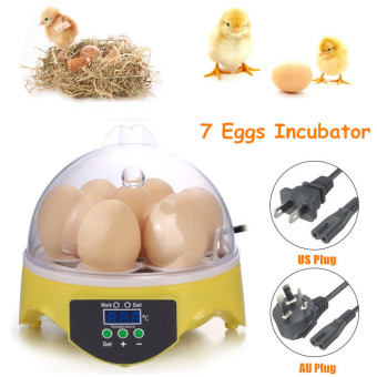 US Plug Automatic Clear Digital 7 Egg Incubator Hatchery For Chicken Duck Bird Quail Digital Temperature Small Brooder - Intl June 2018 - 5 US Plug Automatic Clear Digital 7 Egg Incubator Hatchery for Chicken Duck Bird Quail Digital Temperature Small Brooder - intl - 5