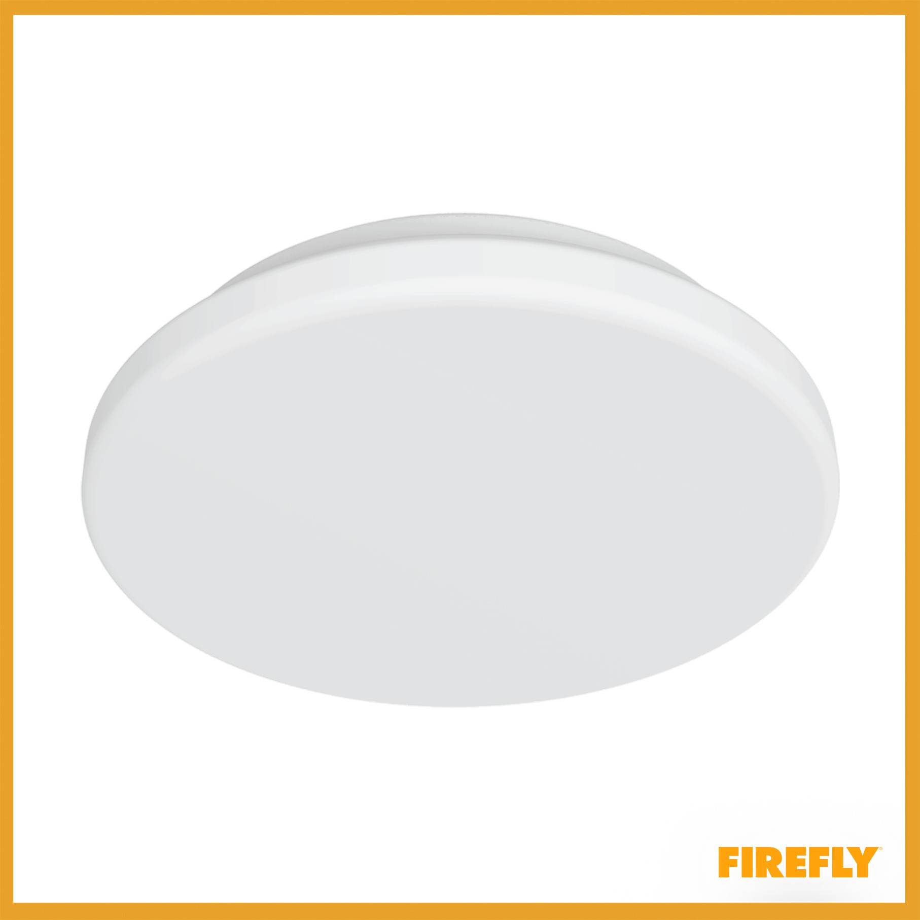 Firefly led deals ceiling lamp