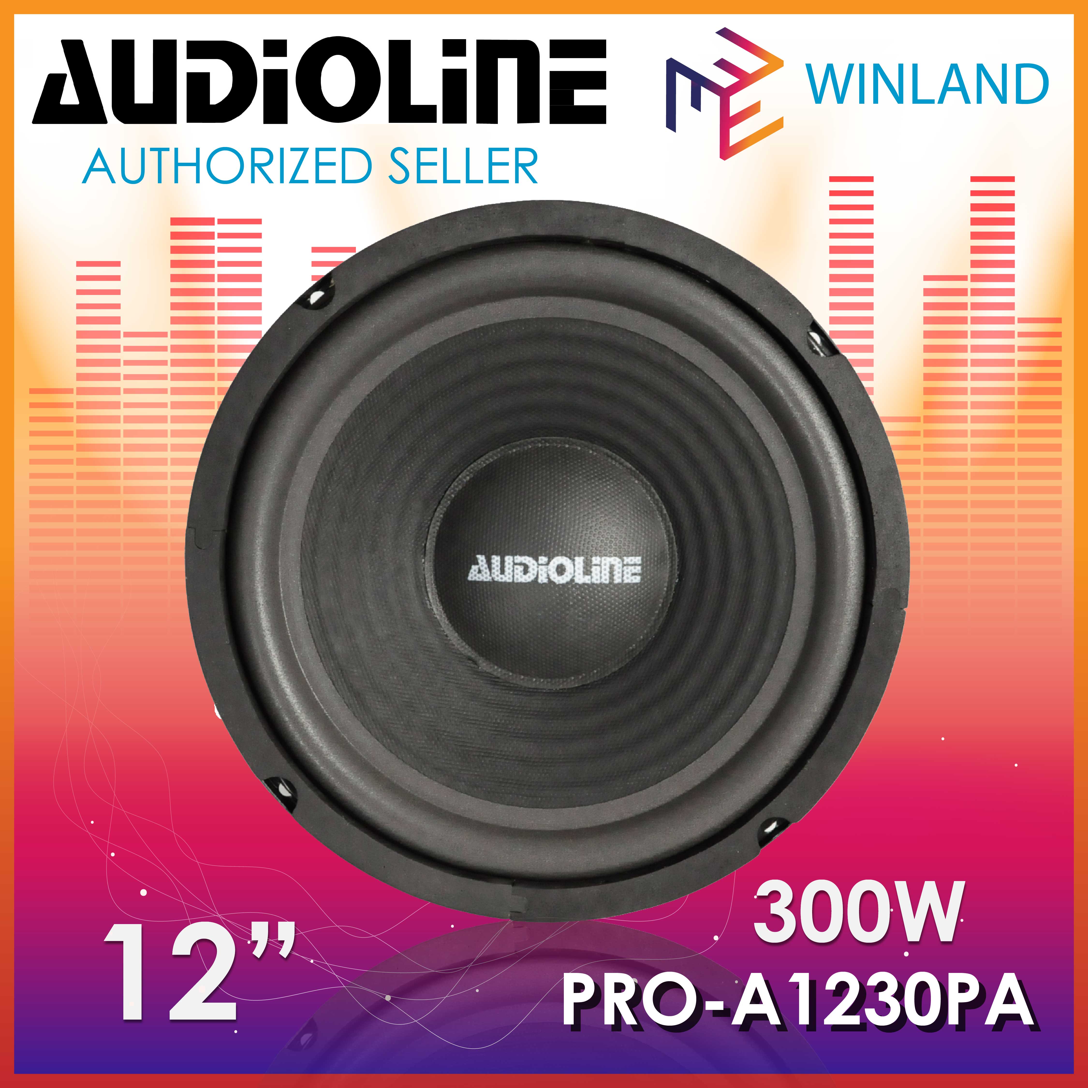 speaker audio line 12 inch