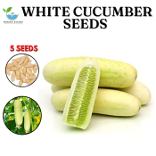 WHITE CUCUMBER SEEDS  - HYBRID/EASY TO PLANT/EASY TO GROW