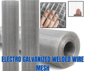 Electro Galvanized Wire Mesh Square Hole Welded Mesh Roll for Bird Cages, Chicken Wire, Garden Fence