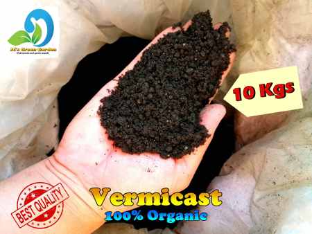 PURE Vermicast: Enhance Plant Growth for All Types