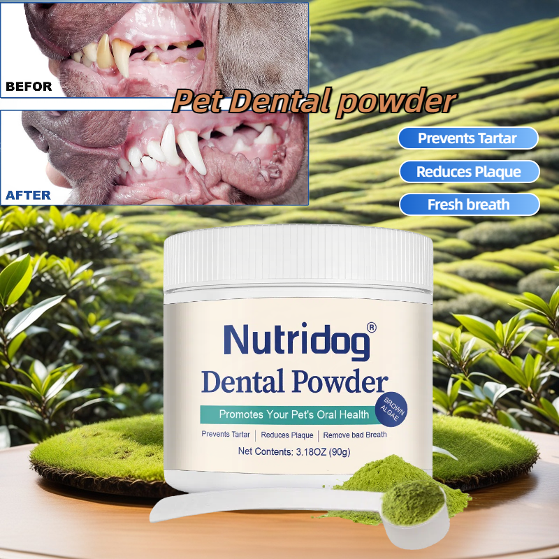 Nutridog All Natural Pet Dental powder Removes Bad Breath Odor, Plaques, Tartar, Bacteria, No Brushing, Long Lasting, Mist, Treatment, Tooth Decay, Dental Care ราคา 212 บาท*ส่งฟรี