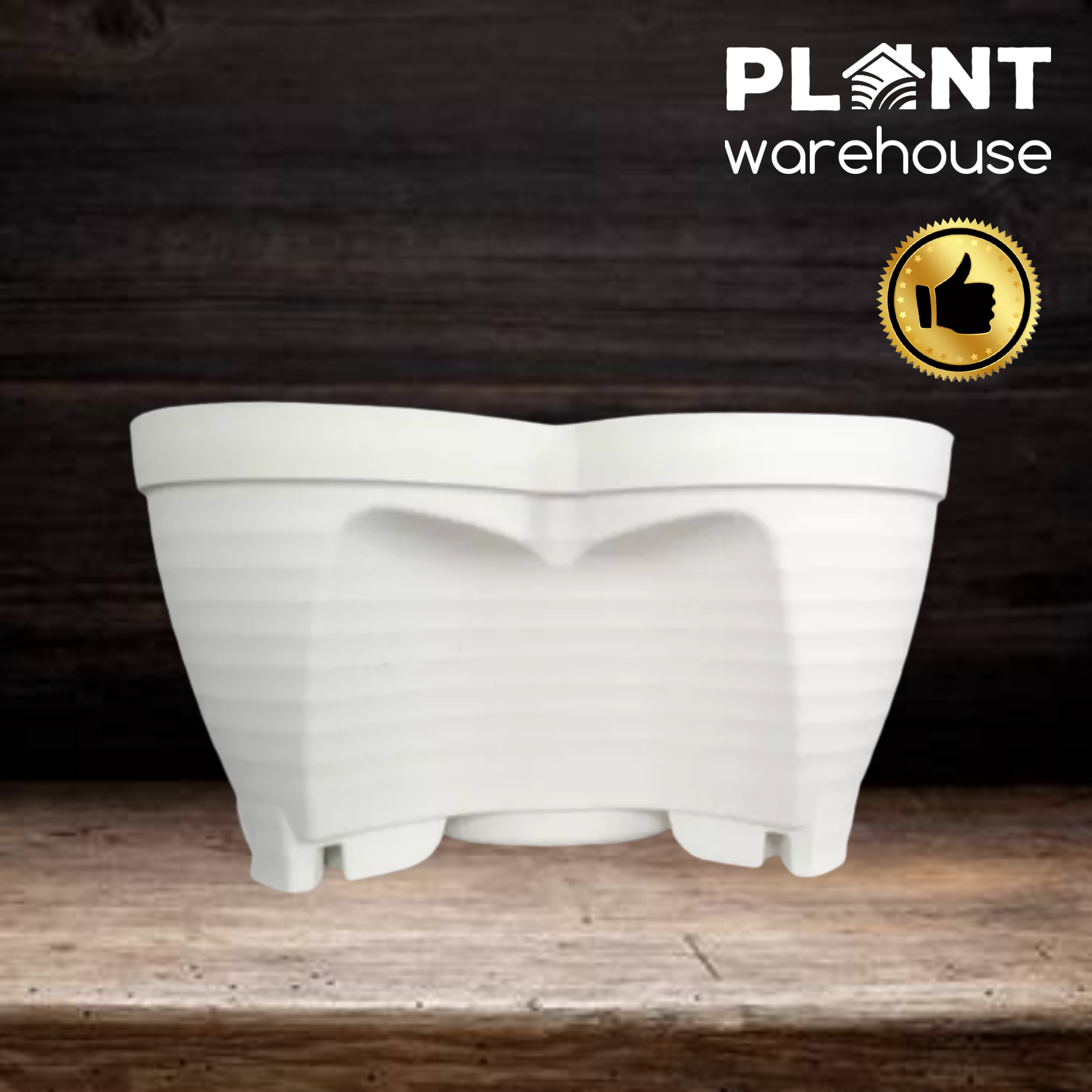 Plant Warehouse PH Stackable Butterfly/Clover Trendy Colorful Plastic