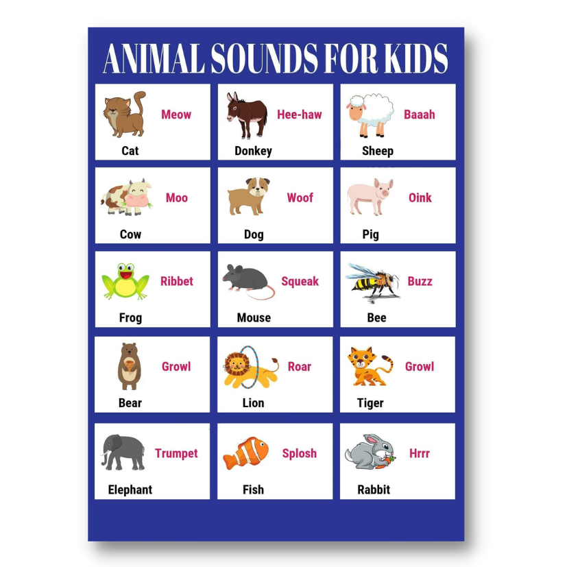 Shop Animals Sound Chart Kids with great discounts and prices online - Aug  2022 | Lazada Philippines