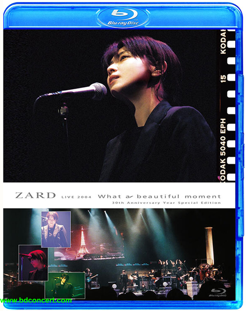 ZARD What a beautiful moment Tour 写真集