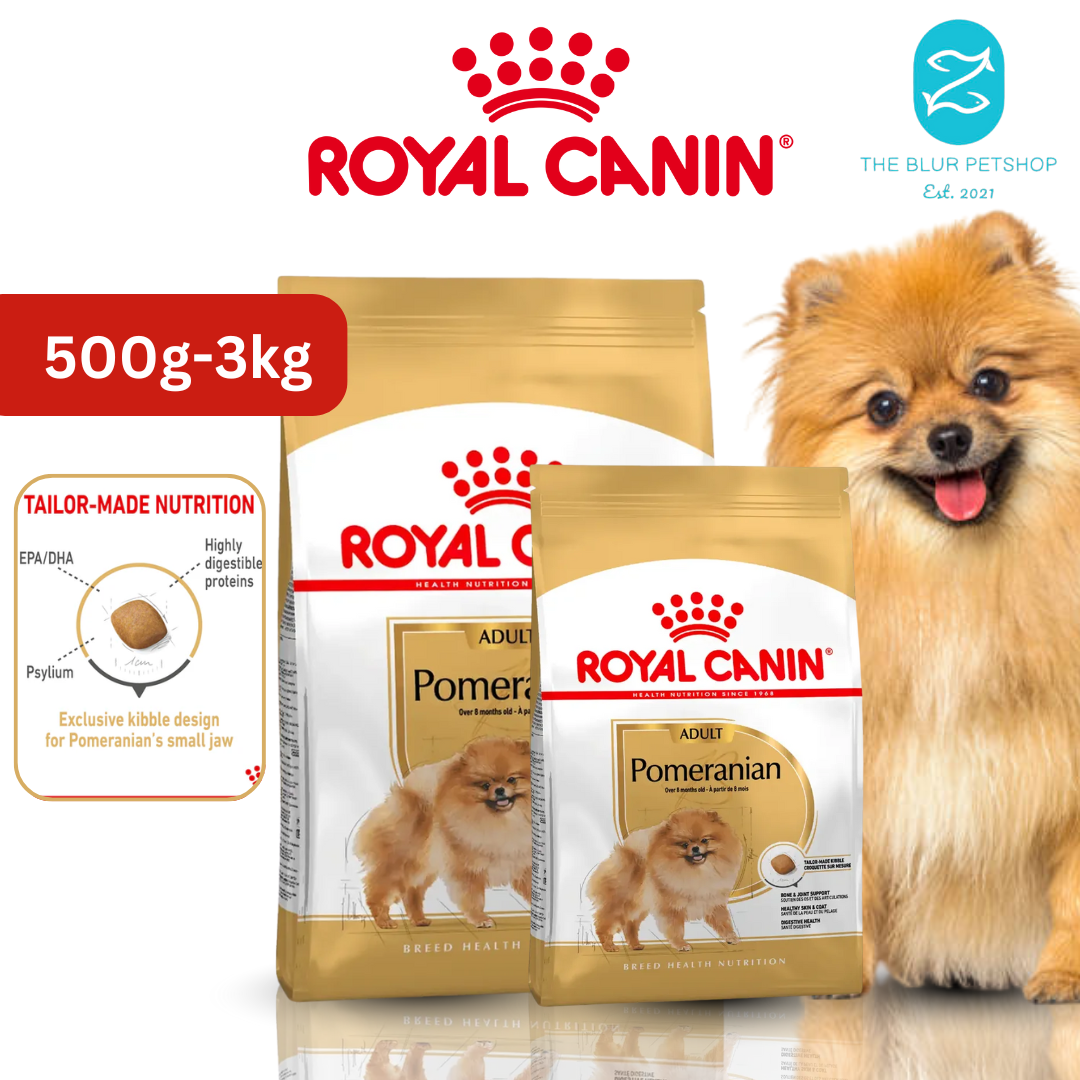 Get Dog Food For Pomeranian at the Best Prices Online Lazada - Main Image