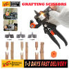 Garden Grafting Pruner Set - CASTA