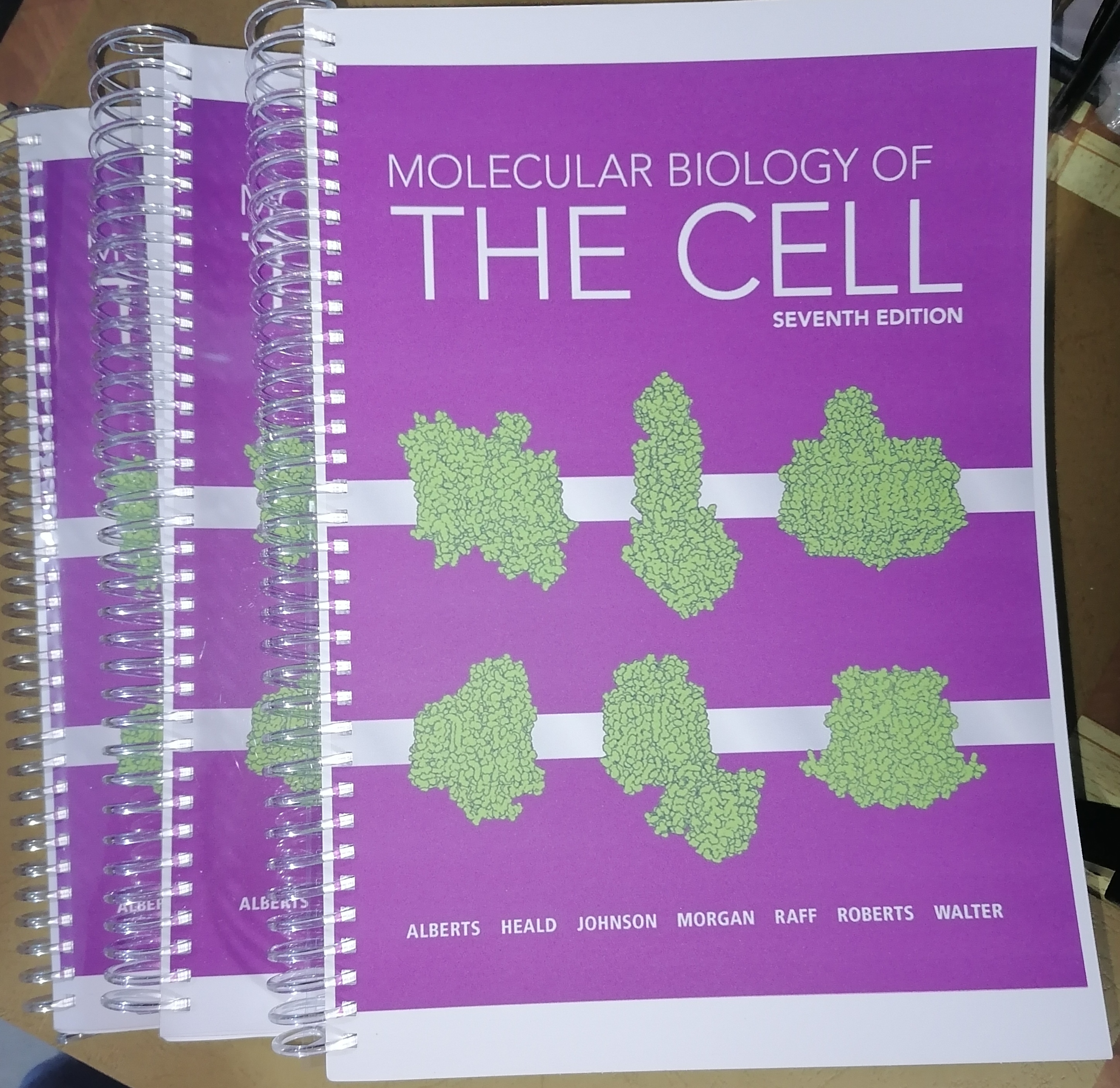 Molecular Biology of the Cell 7th Edition English Softbound
