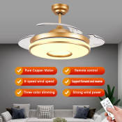 Luxury Ceiling Fan with Light and Remote Control