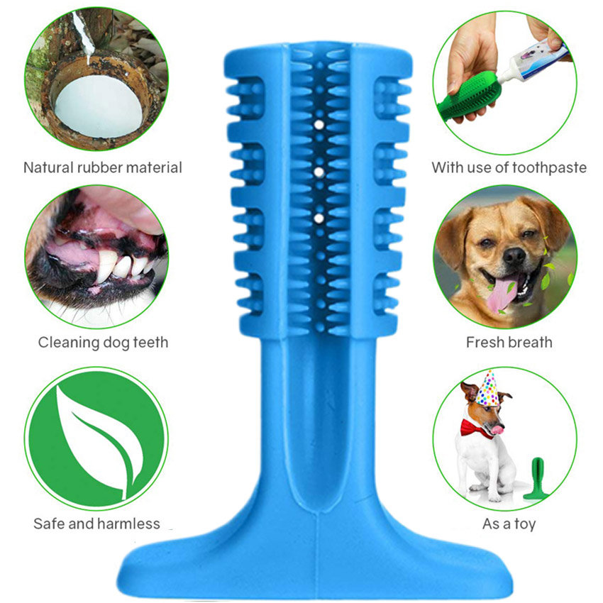 Doggo care 2024 toothbrush chew toy