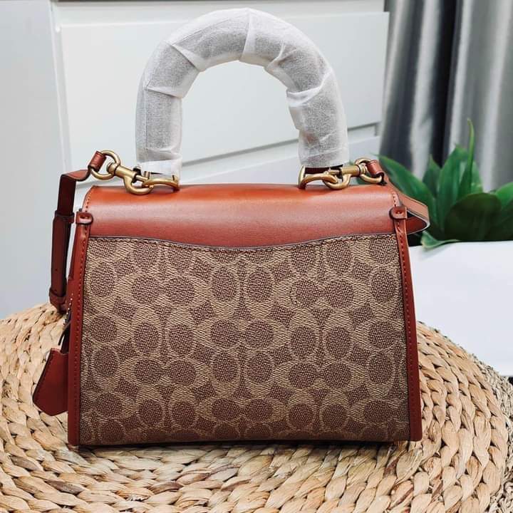 Coach frame bag hot sale 23 in signature canvas