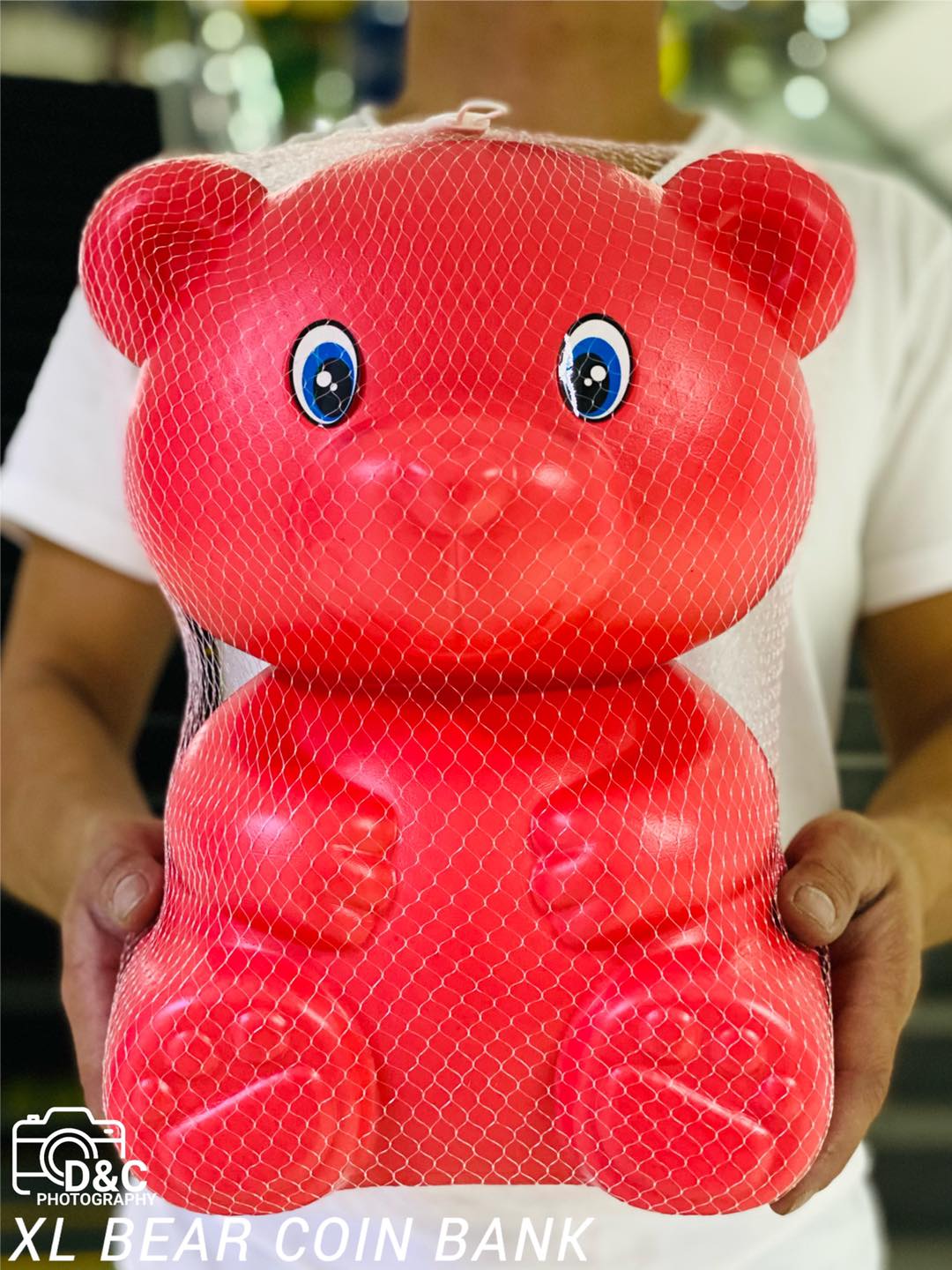 Shop Teddy Bear Coin Bank Online | Lazada.Com.Ph