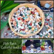 Colorful Natural Pebbles for Fish Tanks and Garden Decoration