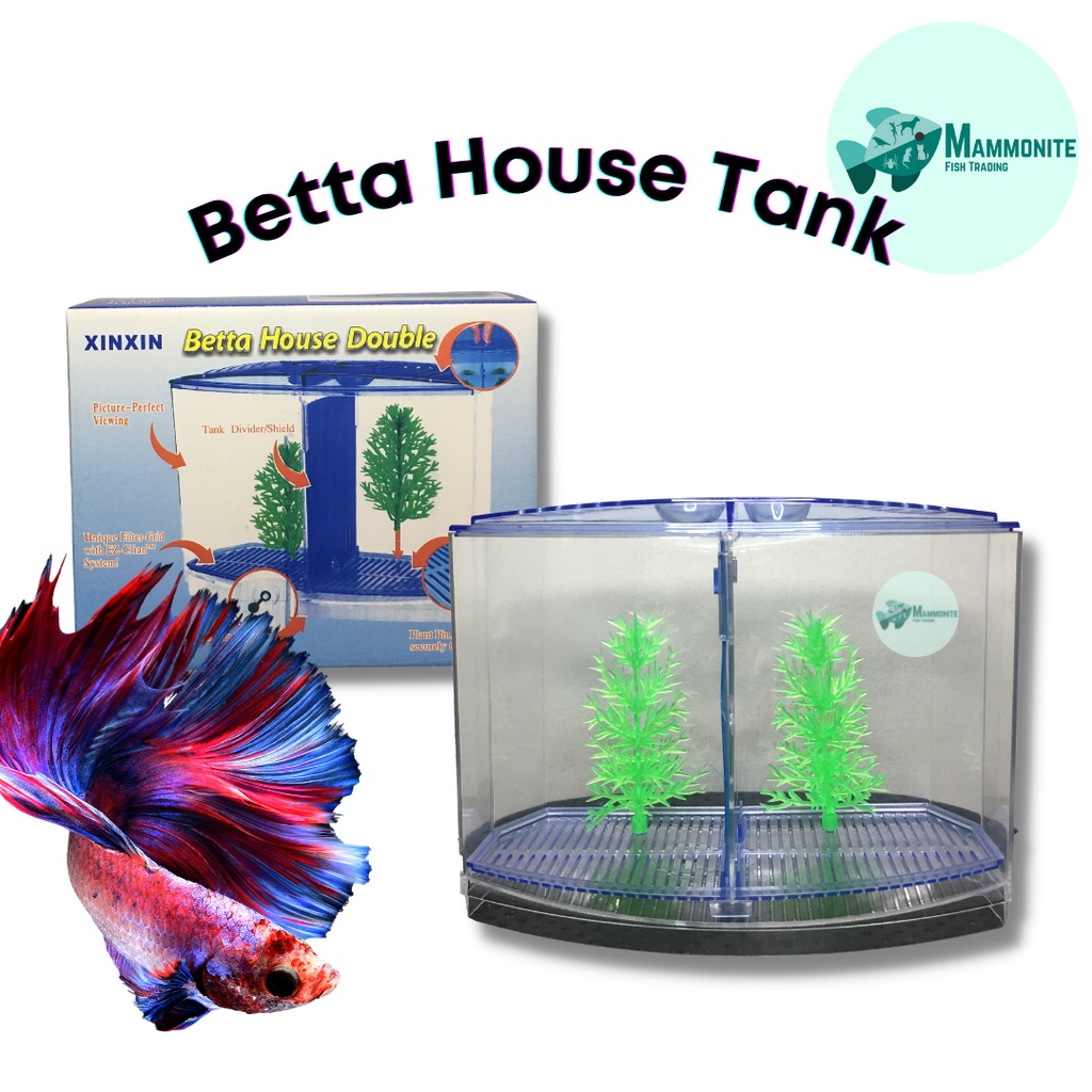 Betta hammock outlet petco