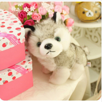 18CM Kawaii Simulation Husky Dog Plush Toy Gift For Kids StuffedPlush Toy New Arrival - Intl May 2018 - 2 18CM Kawaii Simulation Husky Dog Plush Toy Gift For Kids StuffedPlush Toy New Arrival - intl - 2