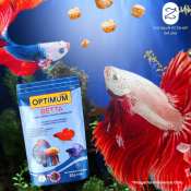 Optimum Betta Guppy Fish Food - 20g Micro Pellets