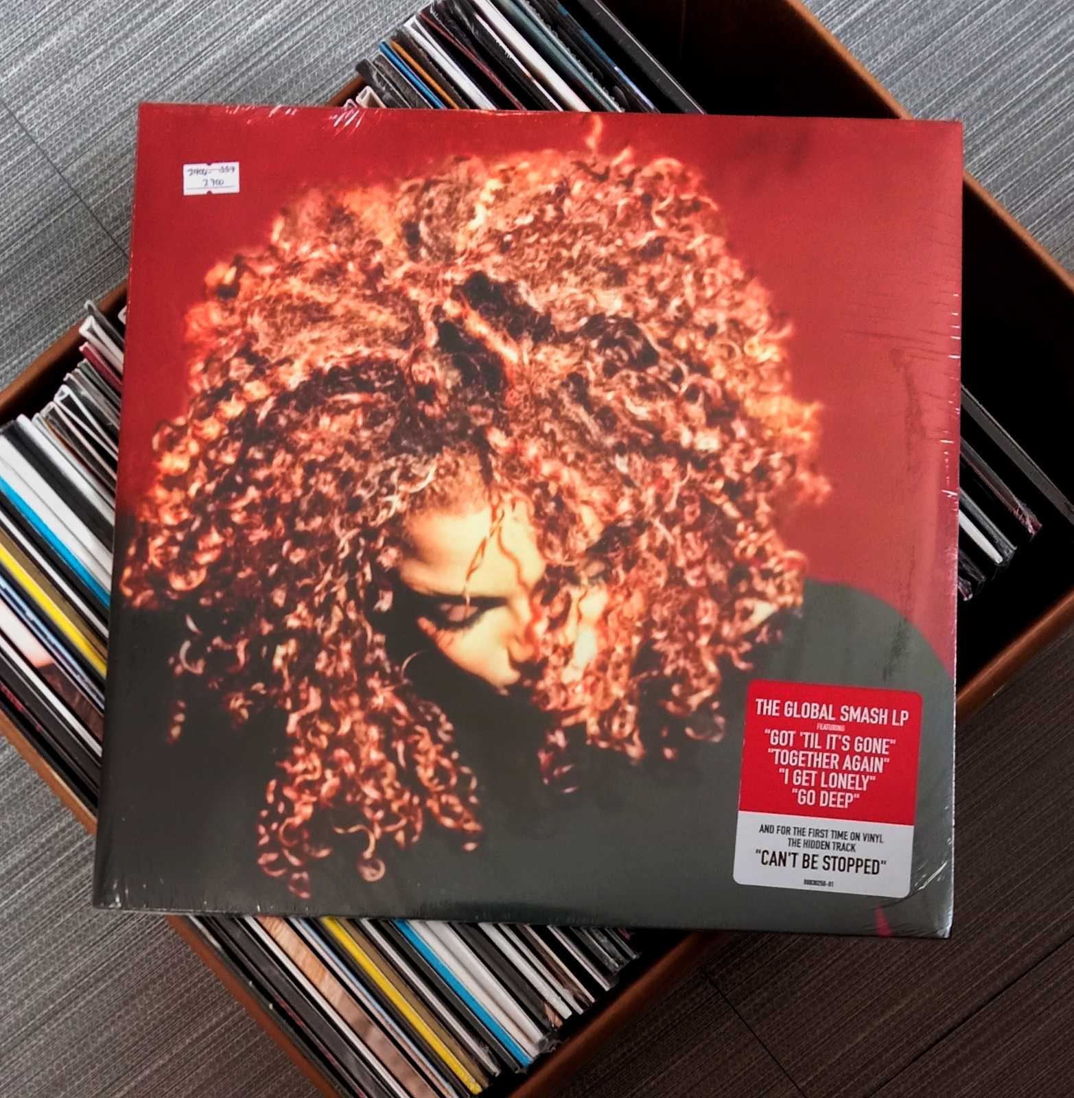Janet Jackson – The Velvet Rope | Vinyl LP Plaka The Grey