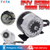 250W 24V Brushed Gear Motor for Electric Tricycles/Bicycles