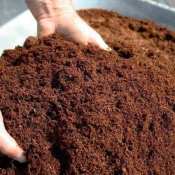 1kg Coco Peat Plant Fertilizer l Pure Screened Cocopeat
