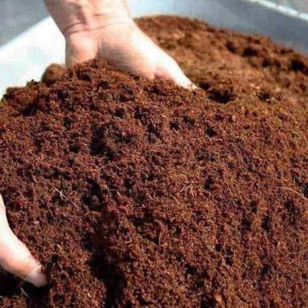 1kg Coco Peat Plant Fertilizer l Pure Screened Cocopeat