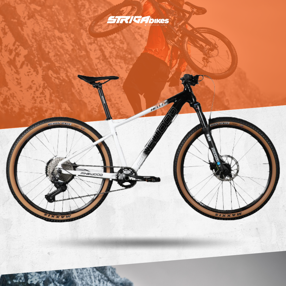 pinewood patrol 29er