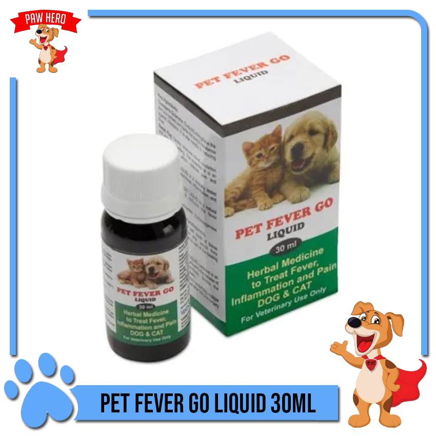 Is Paracetamol Safe For Dogs With Fever