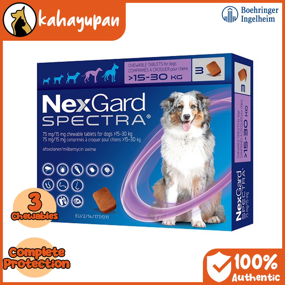 Nexgard spectra fashion mange