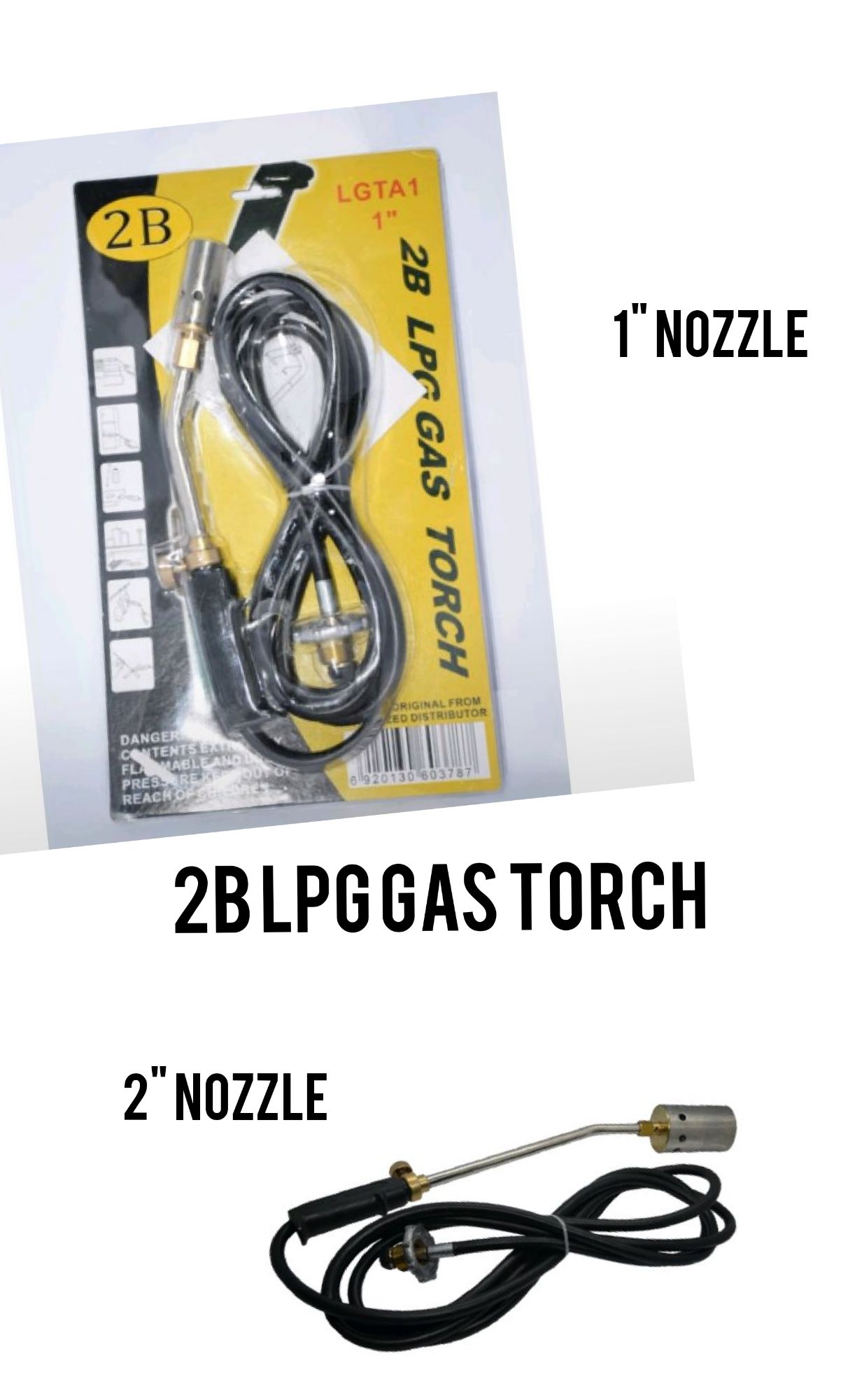 Mushuk ichida nima bor