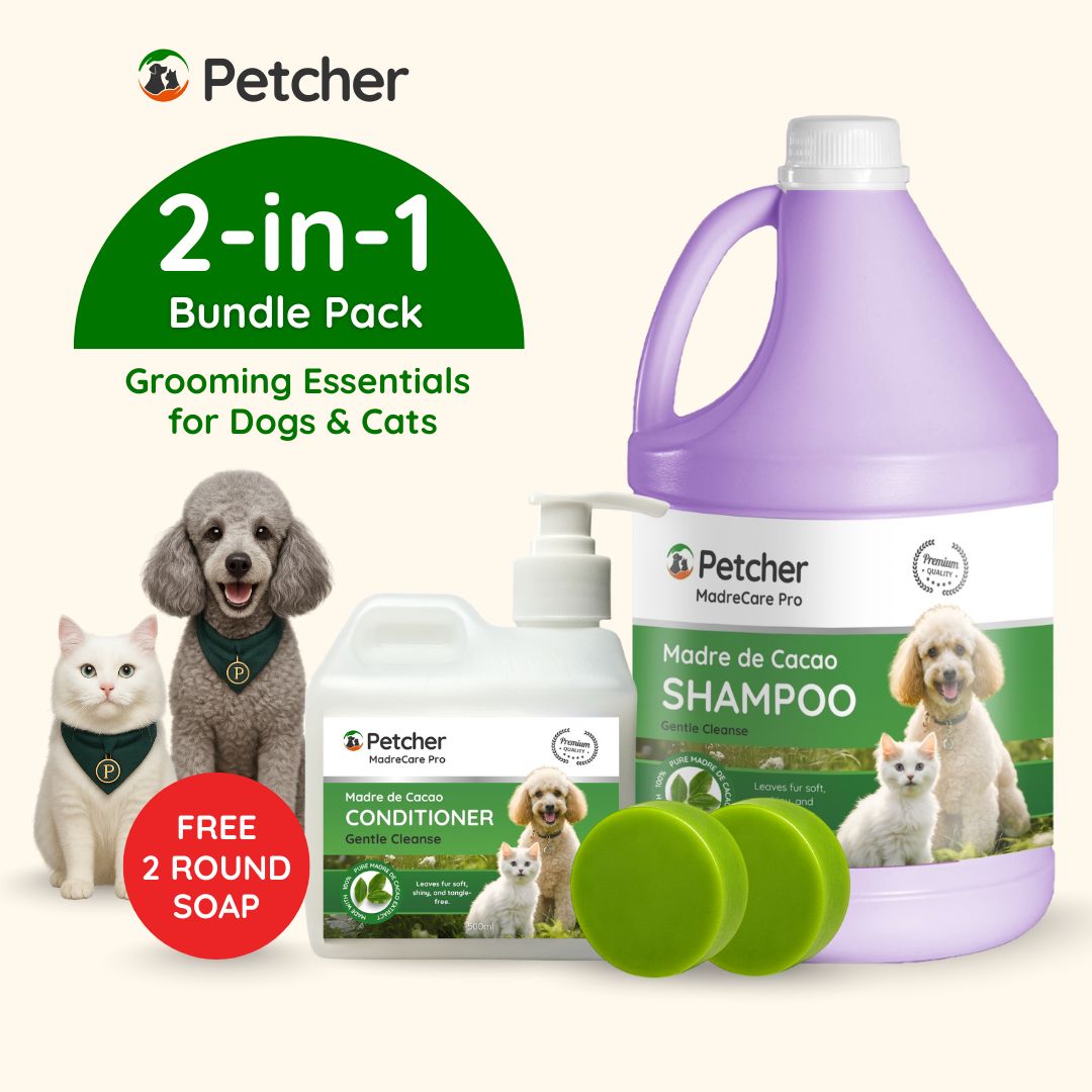 Shop Pawfriends Petguard Shampoo Cheap – Fast Easy Lazada