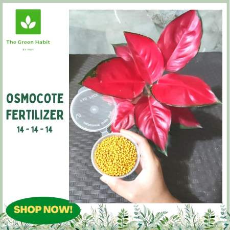 TGH Osmocote Complete Fertilizer - Smart Release for Plants