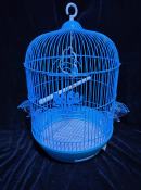 Large Circle Bierd cage with complete set of accessories