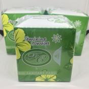 Feminine Comfort Bio Sanitary Pads Panty Liner