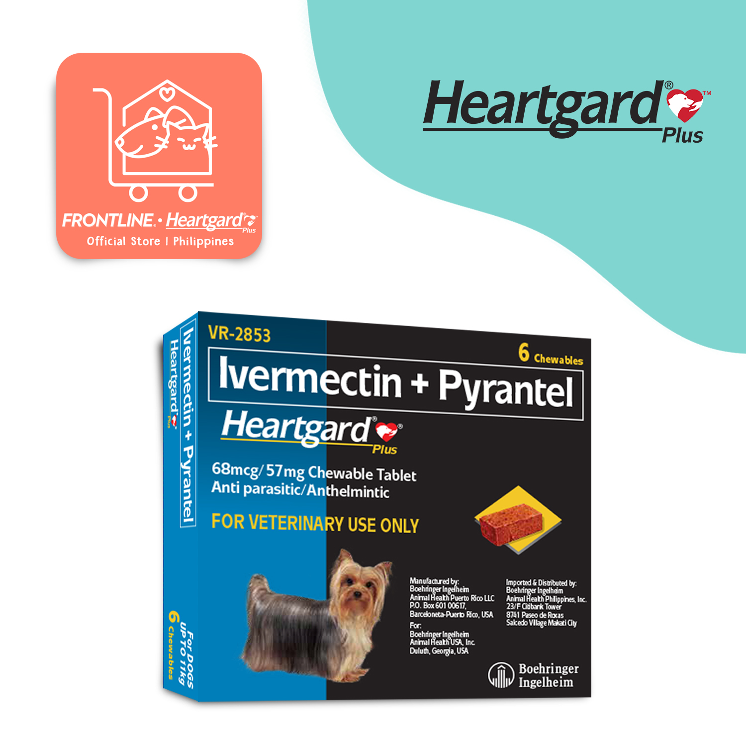 Prevent Heartworm Disease YearRound Heartgard Clinic atelieryuwa