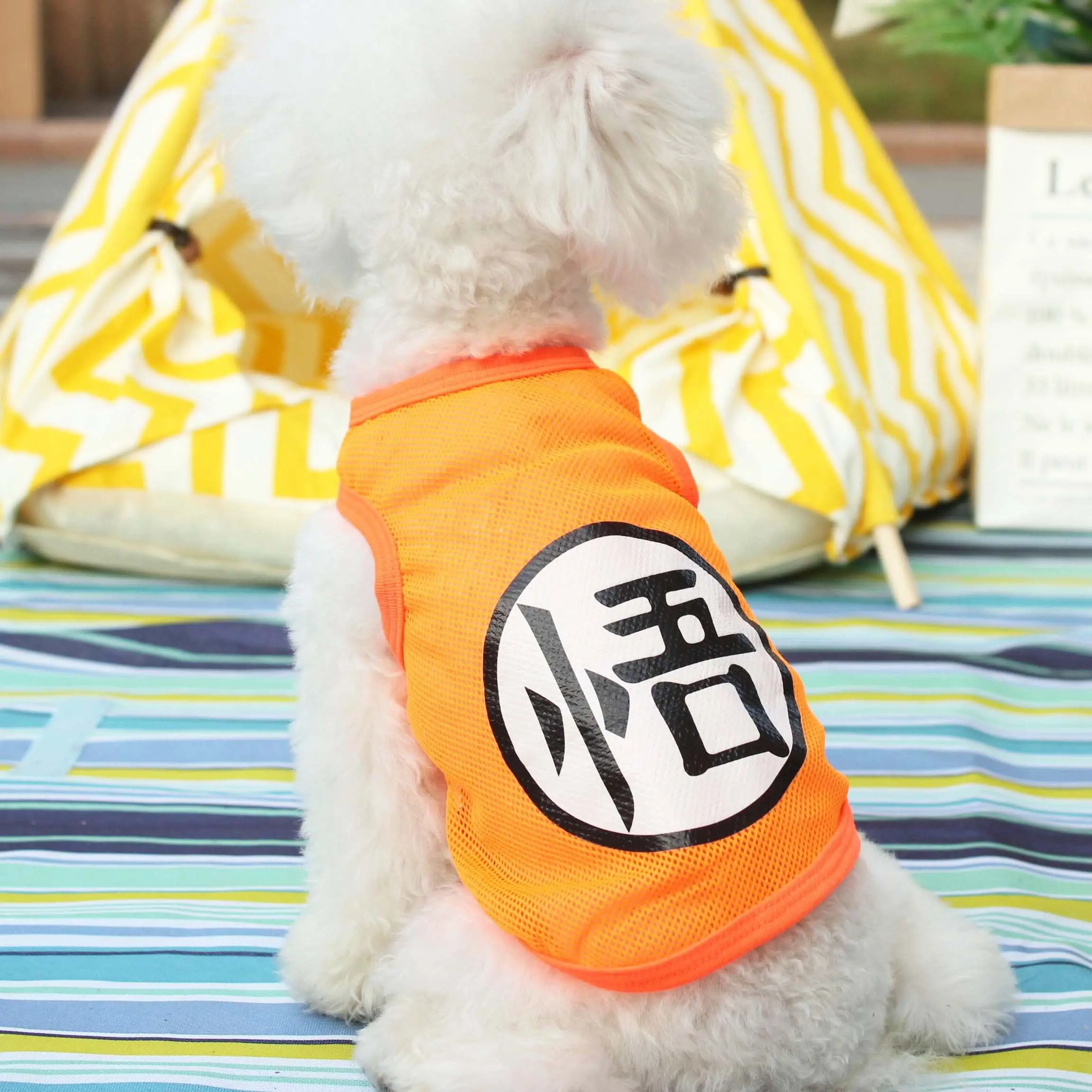 pet store for sale near me