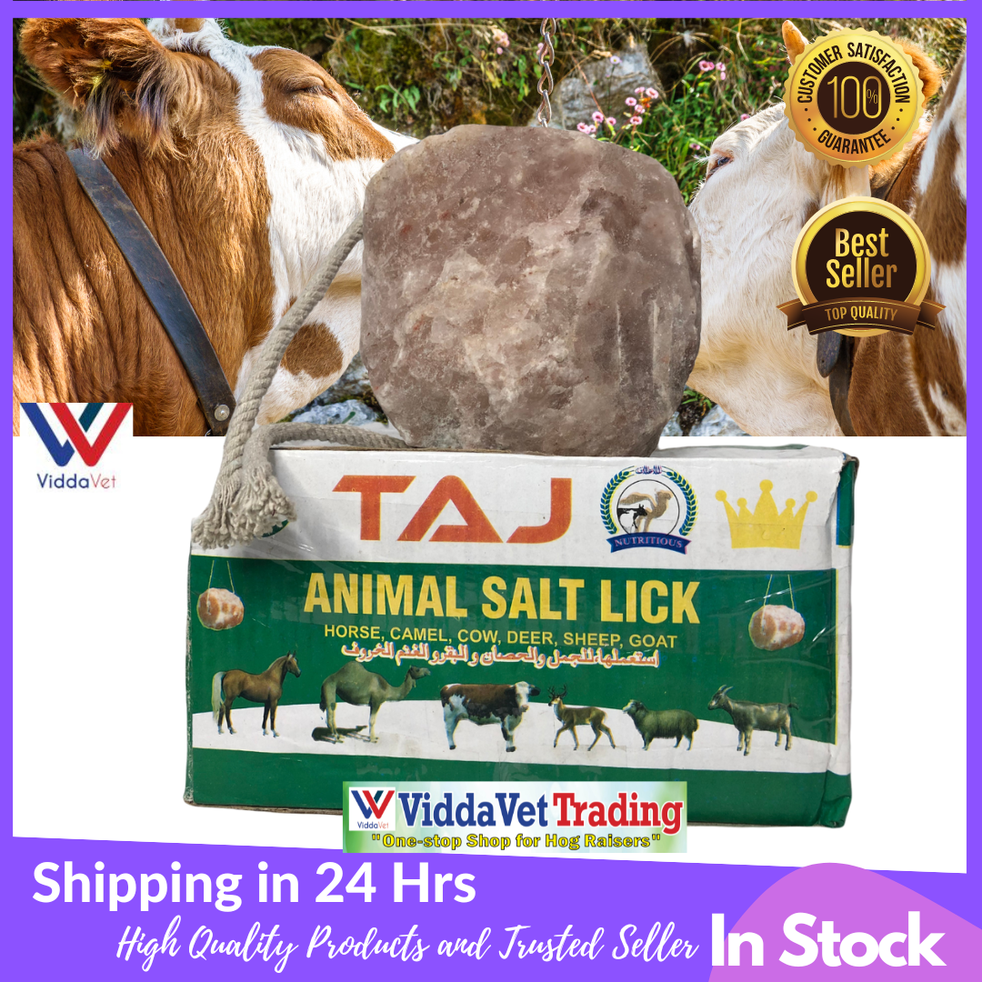 Himalayan Animal Lick Salt On Cotton Rope From Pakistan Per Kg Customized Packin