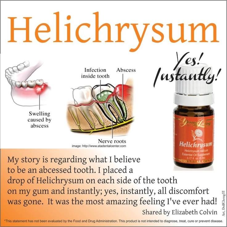25 Off Young Living Helichrysum Essential Oil 5ml Sealed Lazada Ph