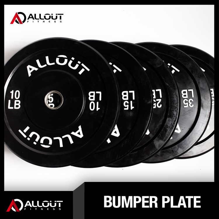 Bumper Plates 45lbs (Pair)