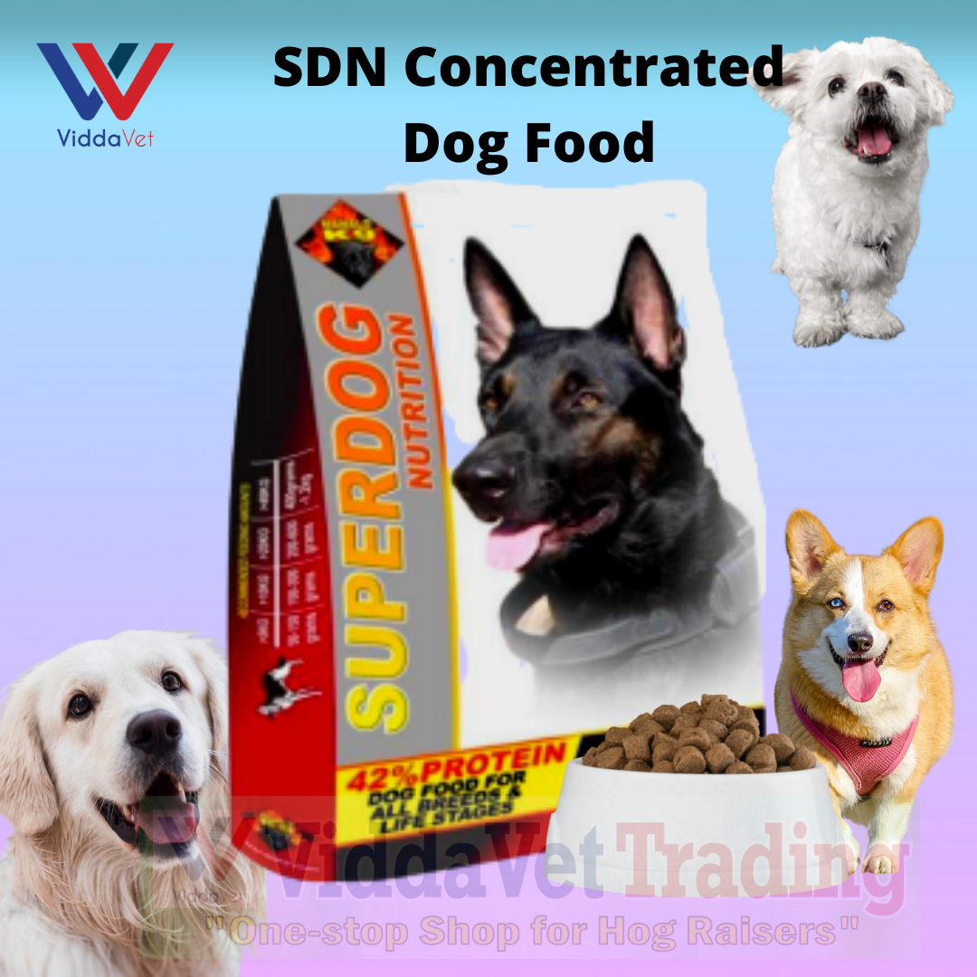 how can i increase dry dog food