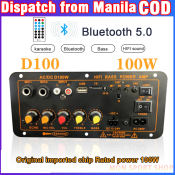 D100 100W Bluetooth Amplifier Board for Subwoofers