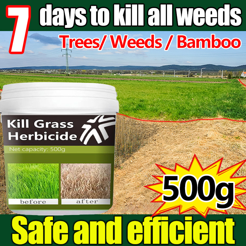 Shop Herbicides Bamboo Kill Online with Best Discounts and Low Prices |  Lazada Philippines
