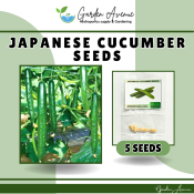 Japanese Hybrid Cucumber Seeds - Easy to Grow