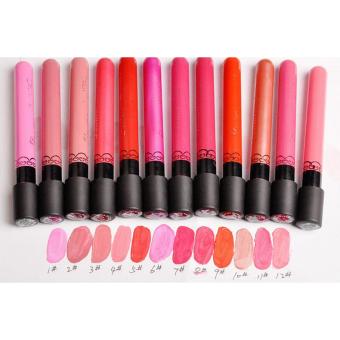 Danimer Waterproof Long Lasting Liquid Matte Lipstick Lip Gloss #0812g April 2018 - 3 Danimer Waterproof Long Lasting Liquid Matte Lipstick Lip Gloss #0812g - 3