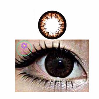MAMA'S CHOICE CRYSTAL AMBER CHOCO CONTACT LENS June 2018 - 3 MAMA'S CHOICE CRYSTAL AMBER CHOCO CONTACT LENS - 3