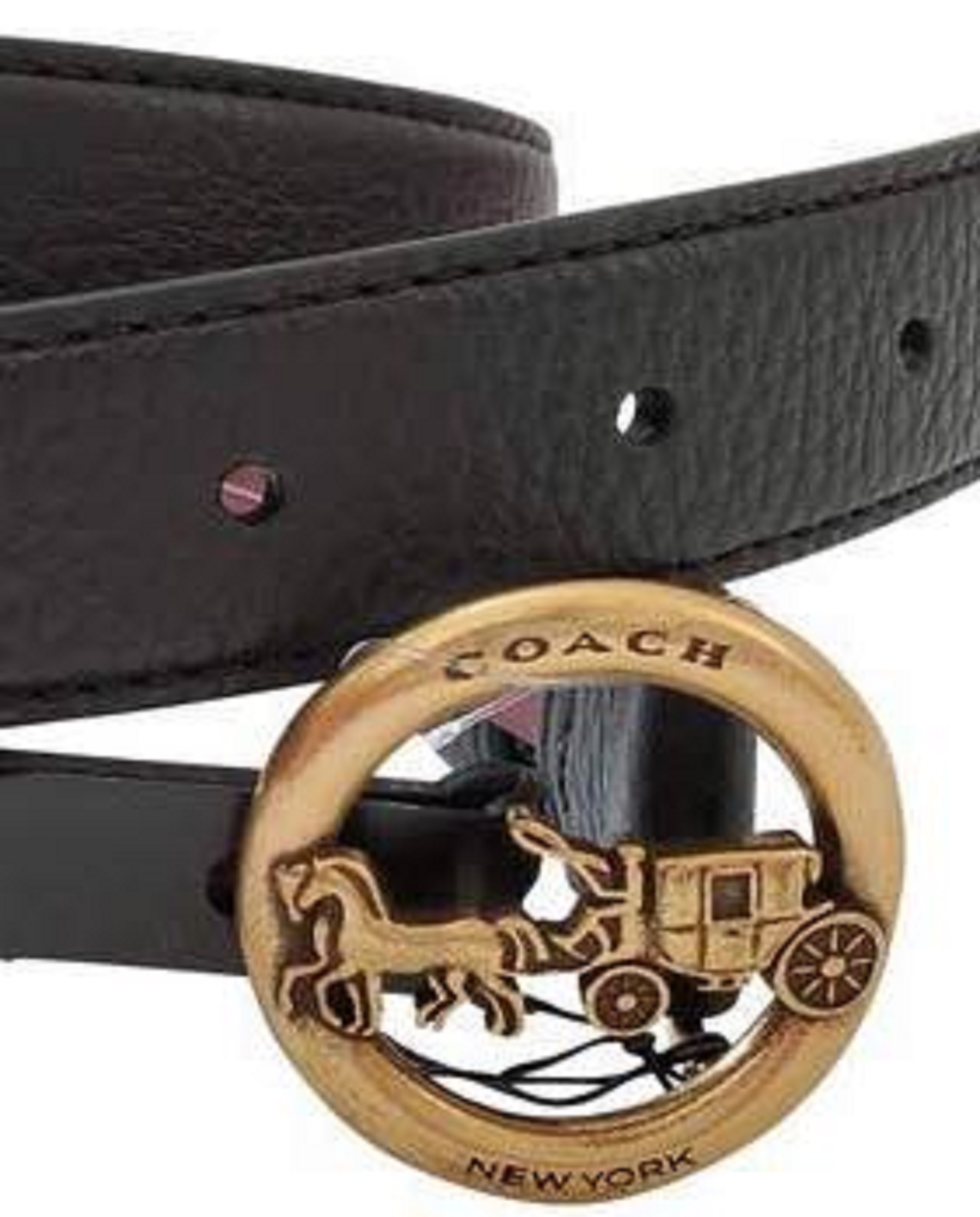 NWT COACH horse and carriage buckle belt women XL black online leather F18181