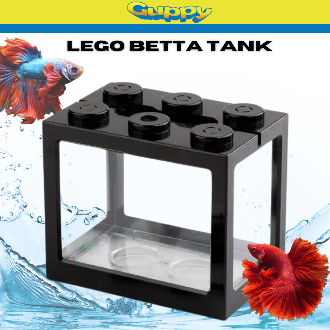 Get Mini Lego Fish Tank at the Best Prices Online Lazada Philippines