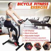 Adjustable Indoor Exercise Bike for Adults - 